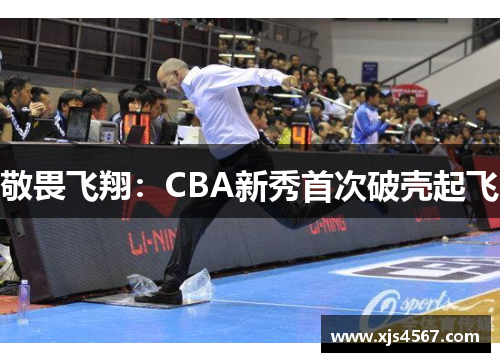 敬畏飞翔：CBA新秀首次破壳起飞